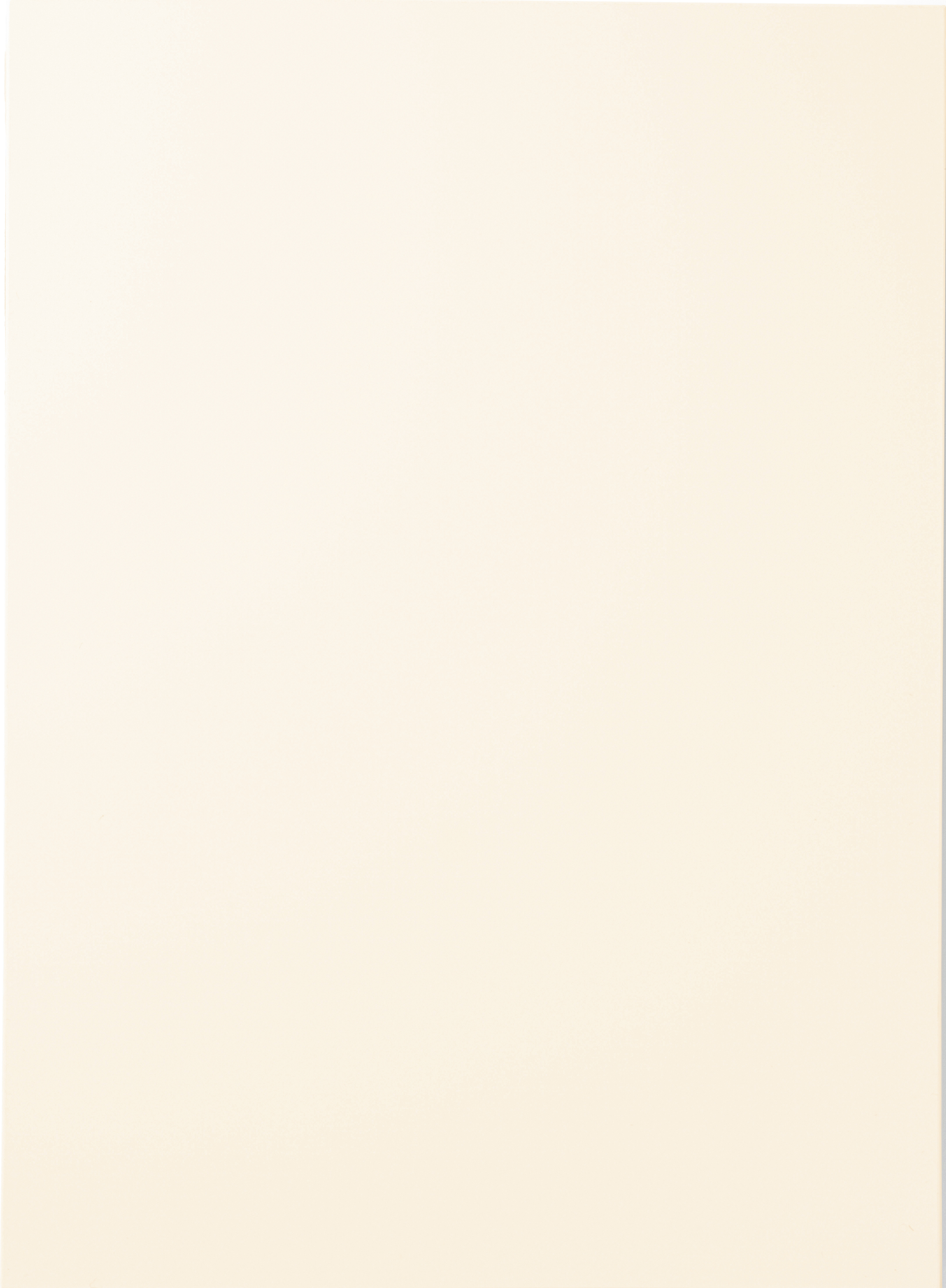 Matte Ivory