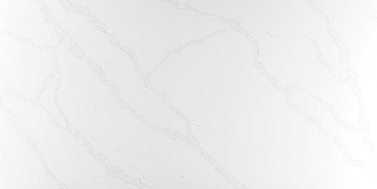 RS8802