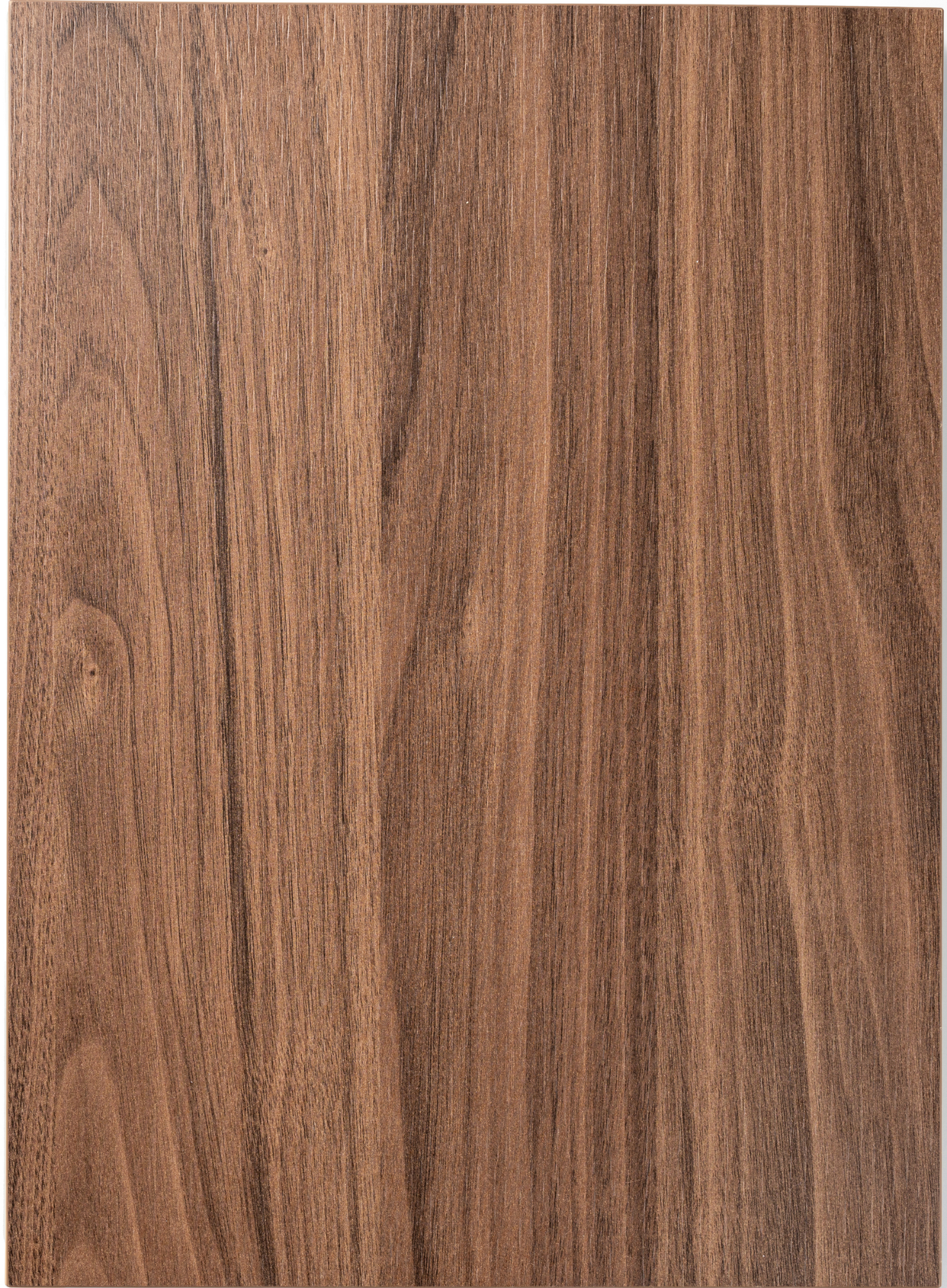 Sahara Oak